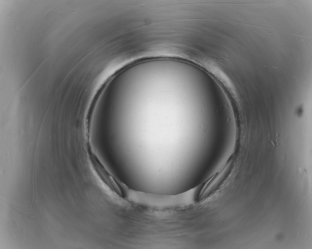 X0000093721380200710231123