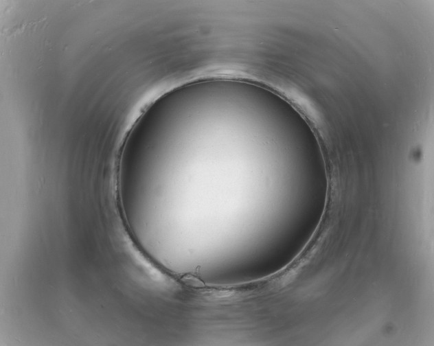 X0000093721382200710231123