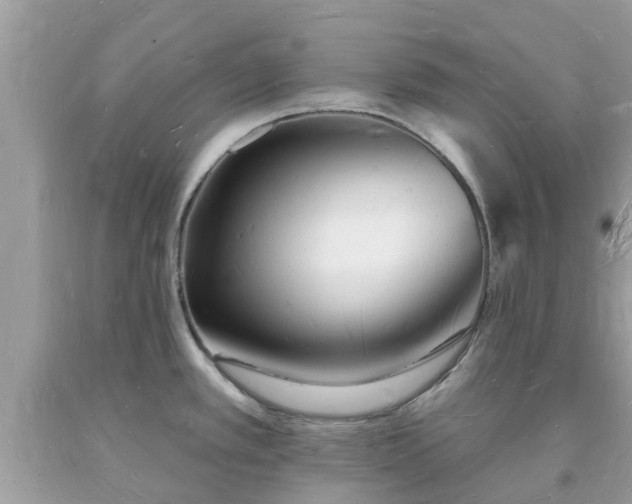 X0000093721389200710231123