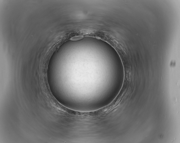 X0000093721393200710231122