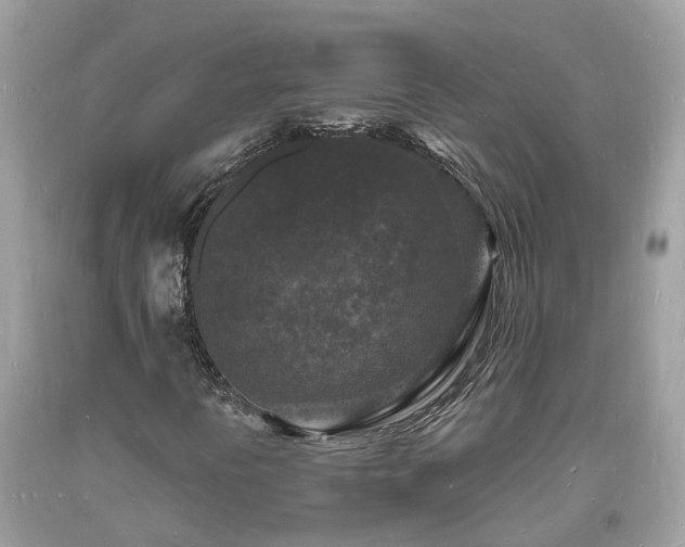 X0000093721394200710231122