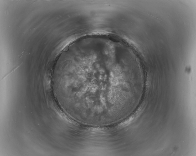 X0000093721401200710231122