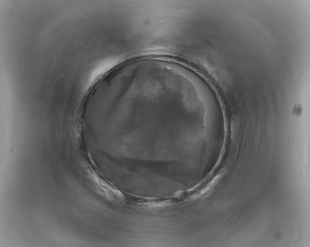 X0000093721405200710231122