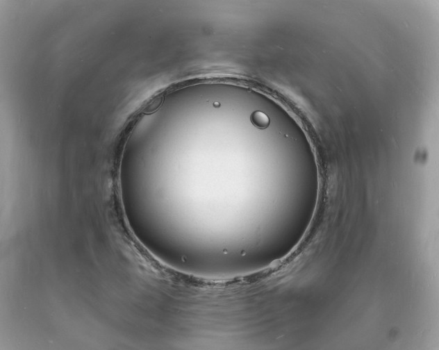 X0000093721407200710231122