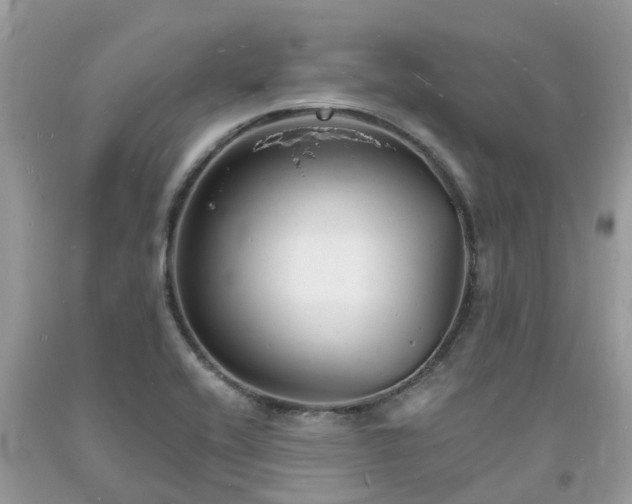 X0000093721416200710231122