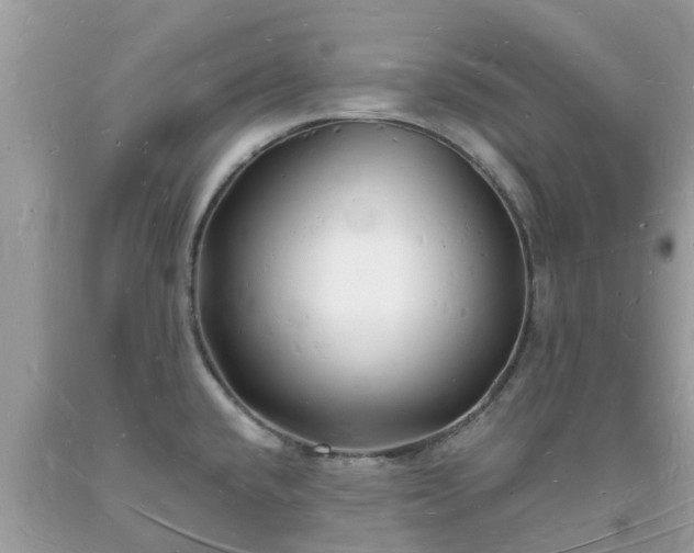 X0000093721432200710231123