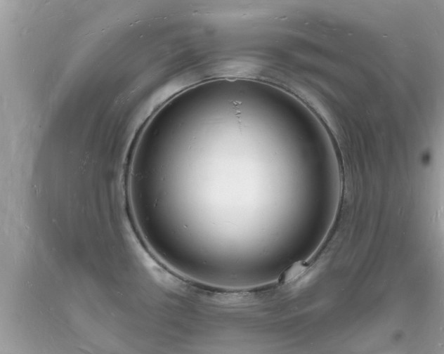 X0000093721434200710231123