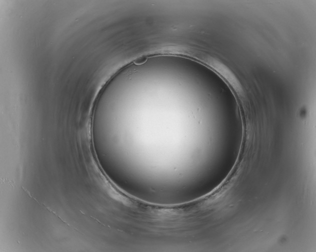 X0000093721436200710231123