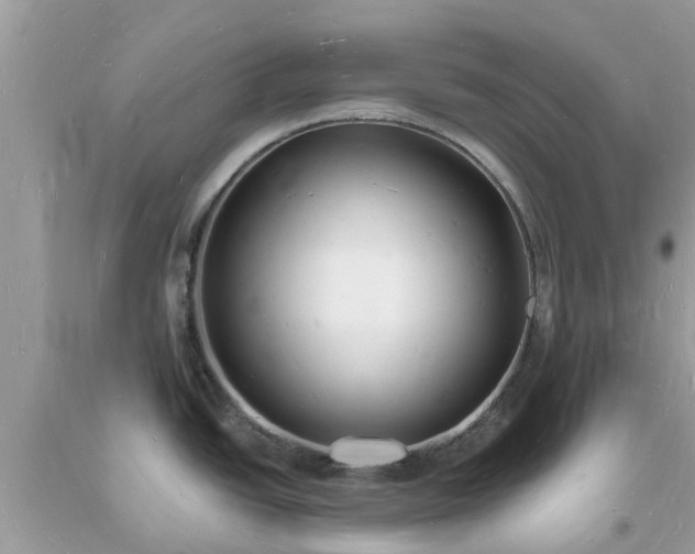 X0000093721438200710231123
