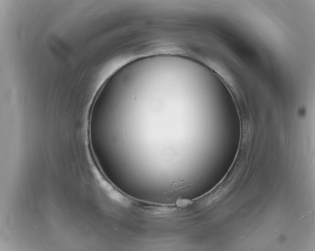 X0000093721439200710231123