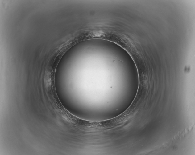 X0000093721442200710231122