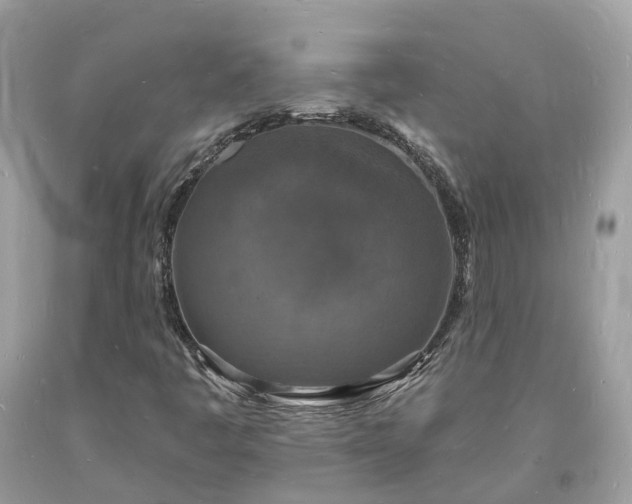 X0000093721445200710231122