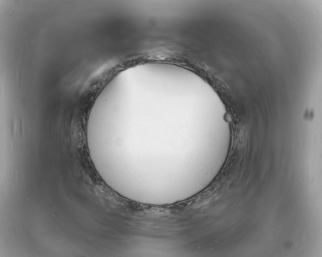 X0000093721446200710231122