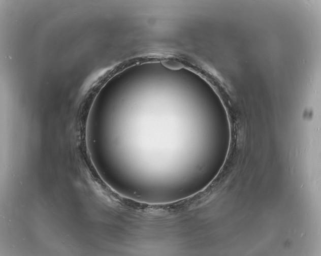 X0000093721448200710231122