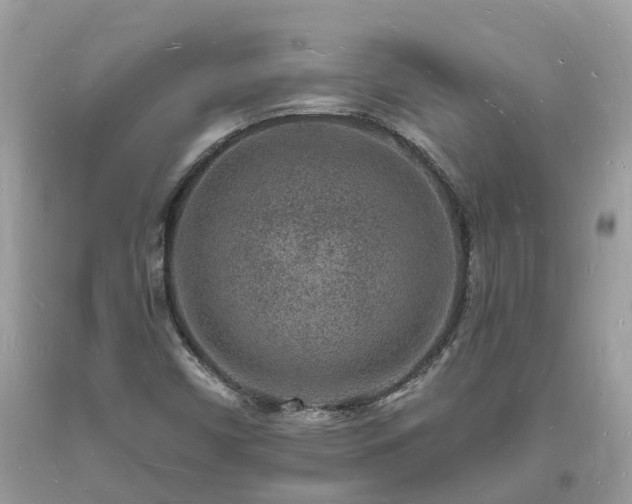 X0000093721450200710231122