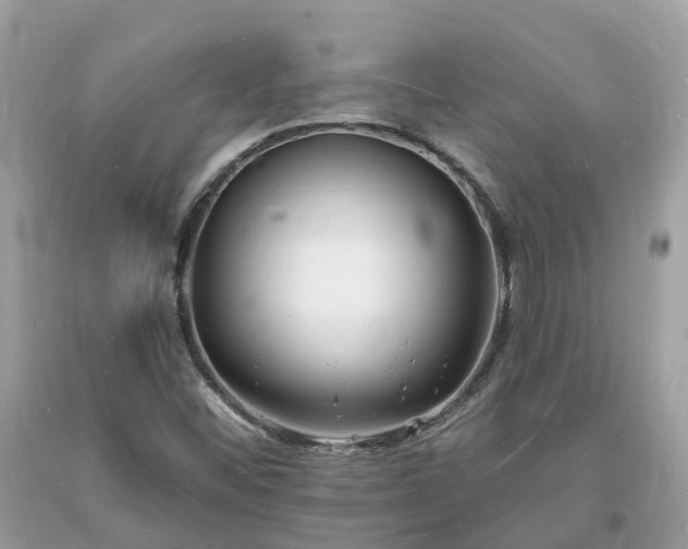 X0000093721452200710231122