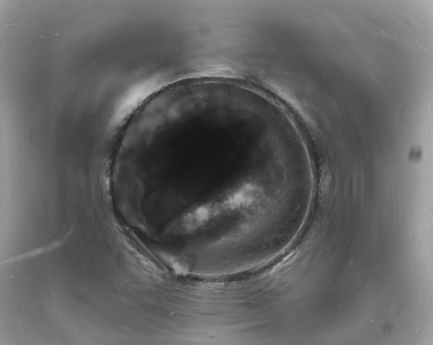 X0000093721455200710231122