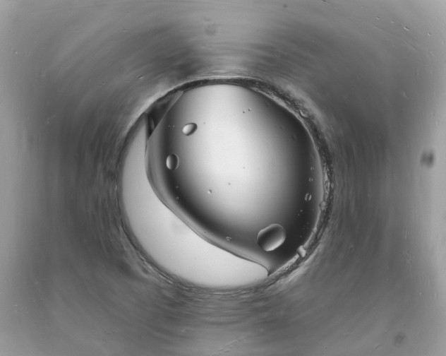 X0000093721457200710231122