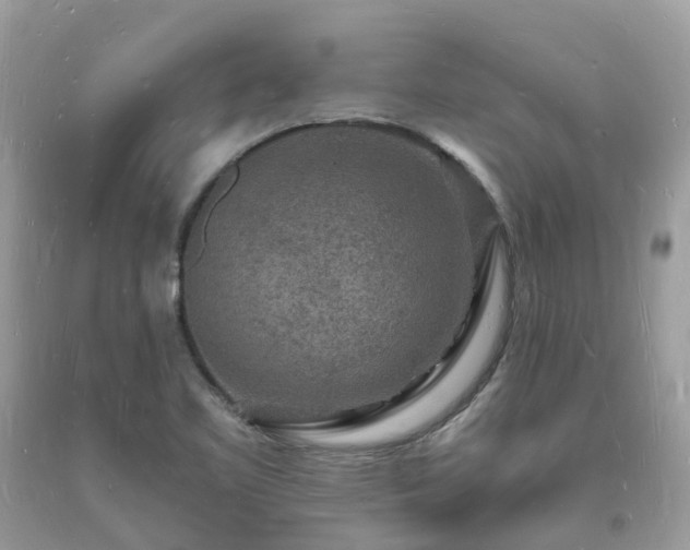 X0000093721461200710231122