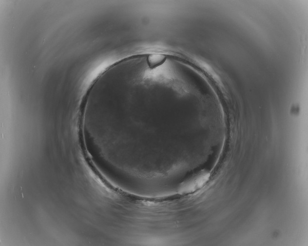 X0000093721463200710231122