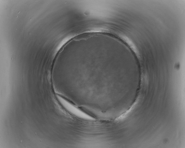 X0000093721465200710231122