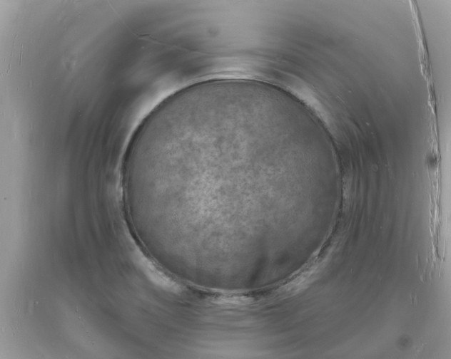 X0000093721466200710231122