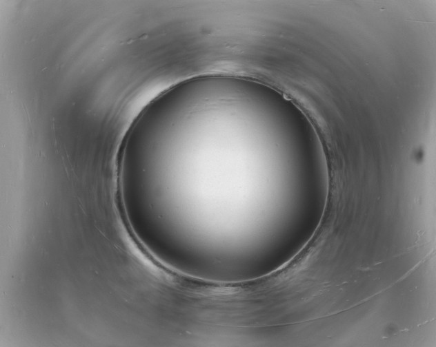 X0000093721479200710231122