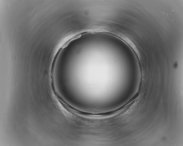 X0000093721485200710231121