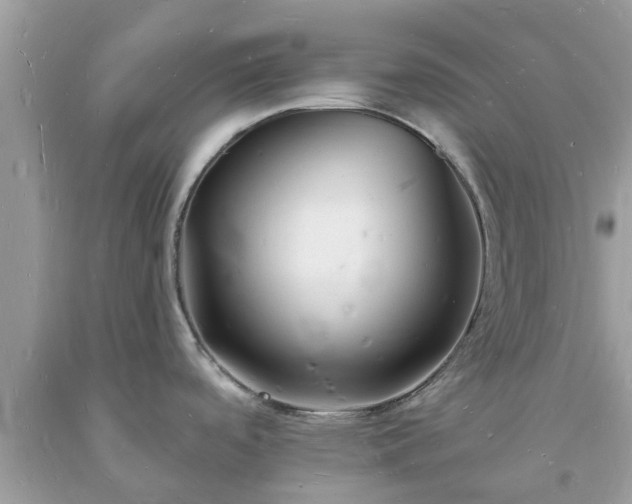 X0000093721488200710231121