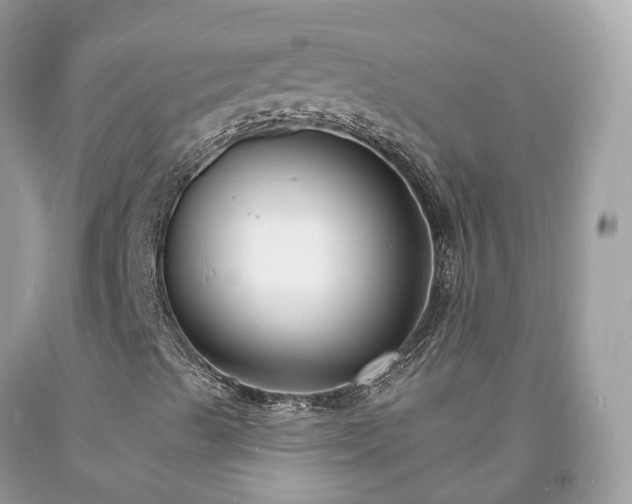 X0000093721489200710231121