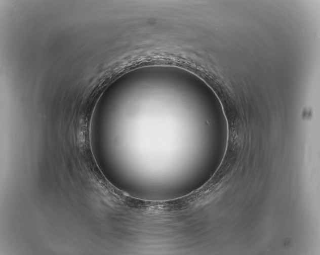 X0000093721490200710231121