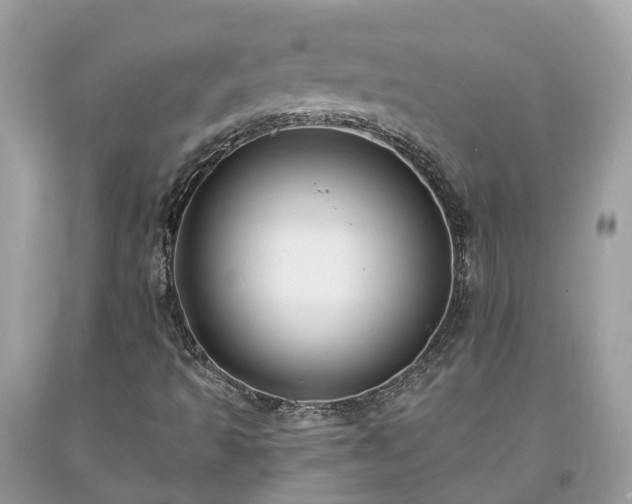 X0000093721493200710231121