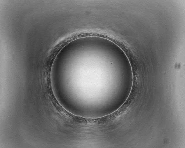 X0000093721494200710231121