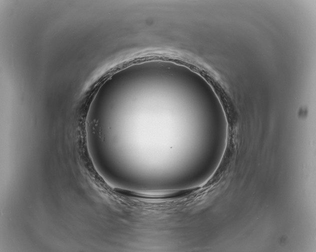 X0000093721496200710231121