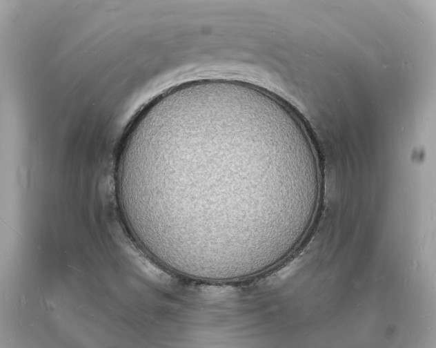 X0000093721498200710231121