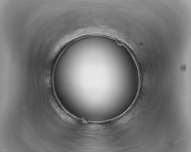 X0000093721499200710231121