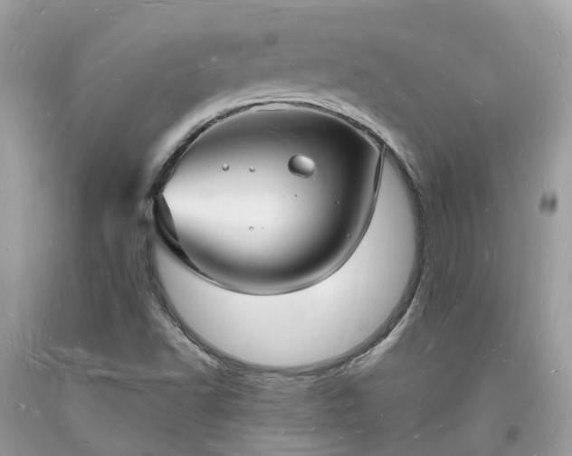 X0000093721502200710231121