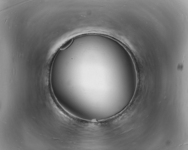 X0000093721504200710231121