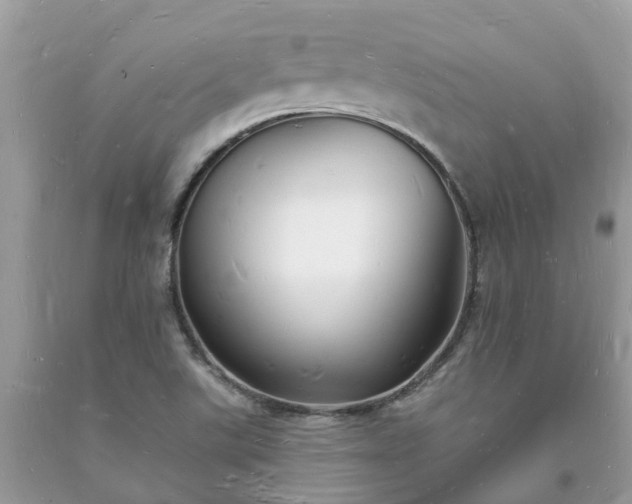 X0000093721507200710231121