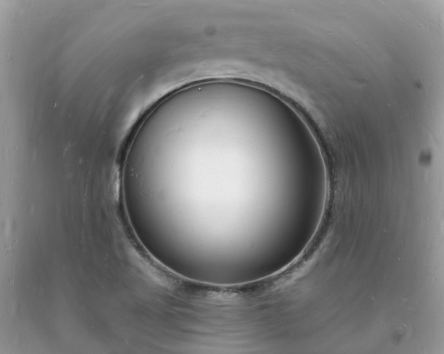 X0000093721509200710231121