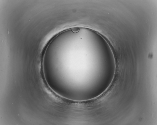 X0000093721511200710231121