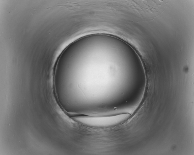 X0000093721516200710231121