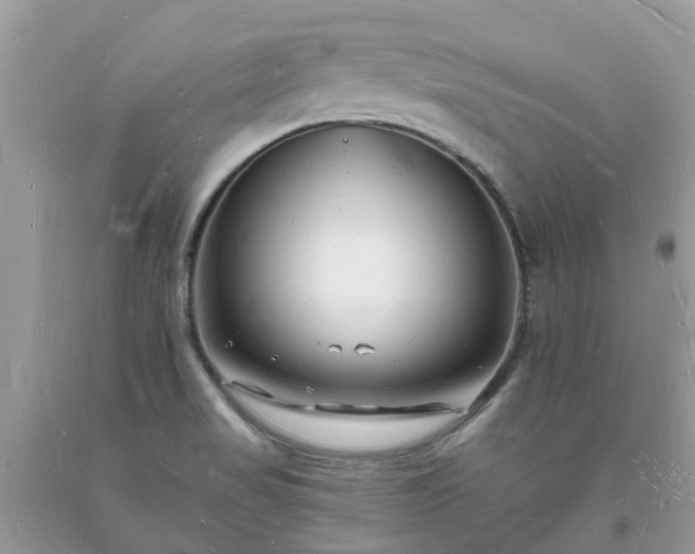 X0000093721517200710231121