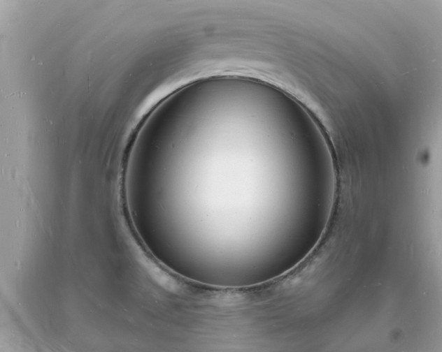 X0000093721525200710231121
