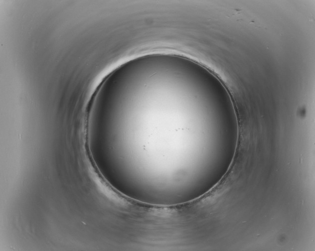 X0000093721526200710231121