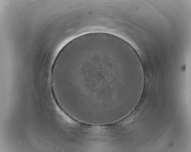 X0000093721527200710231121