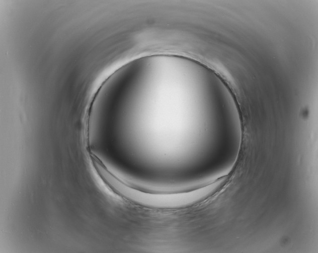 X0000093721528200710231121