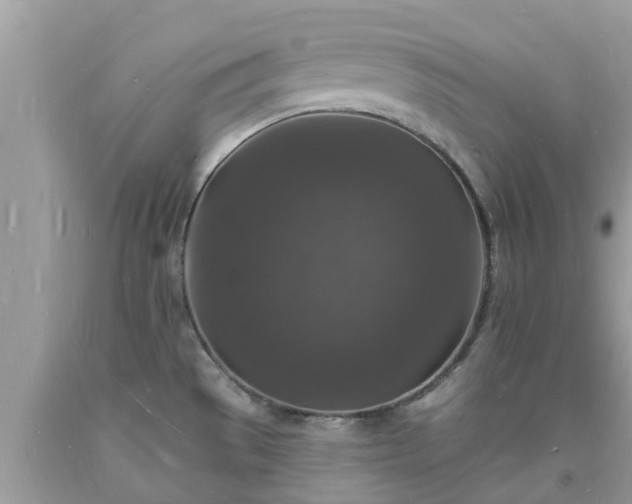 X0000093721529200710231121