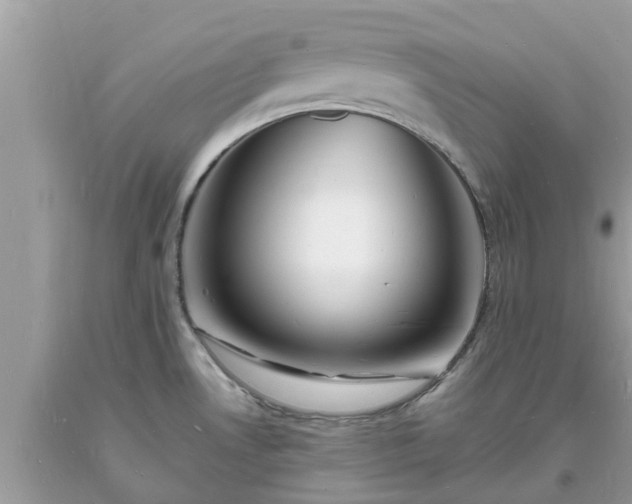 X0000093721530200710231121