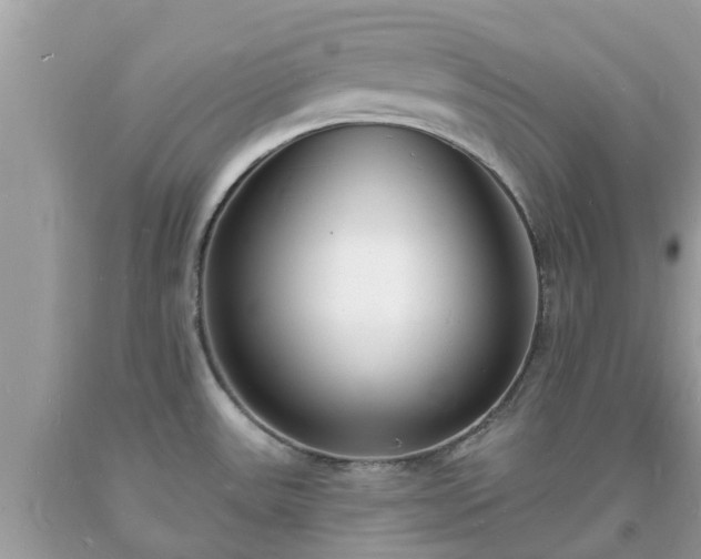 X0000093721531200710231121
